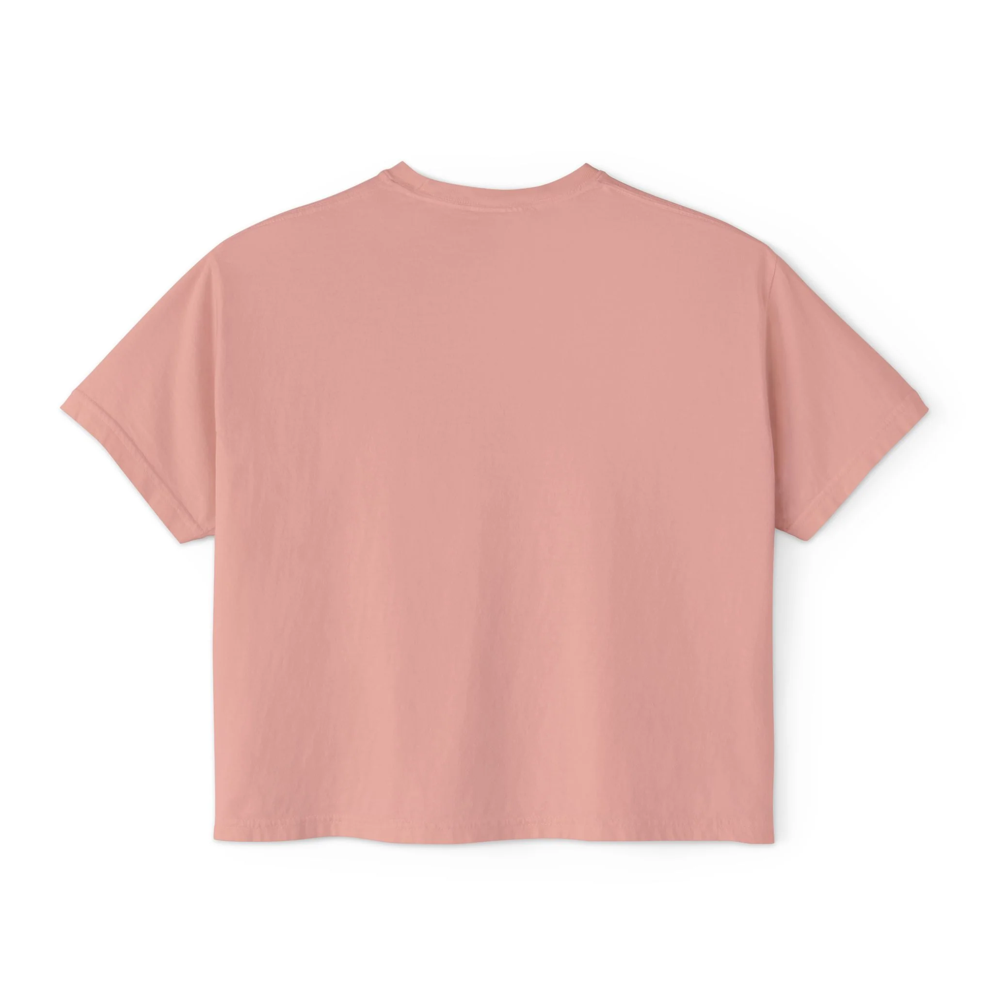 The Vampire Lestat Here Come the Gays Pride Boxy Tee Rainbow - Image 4