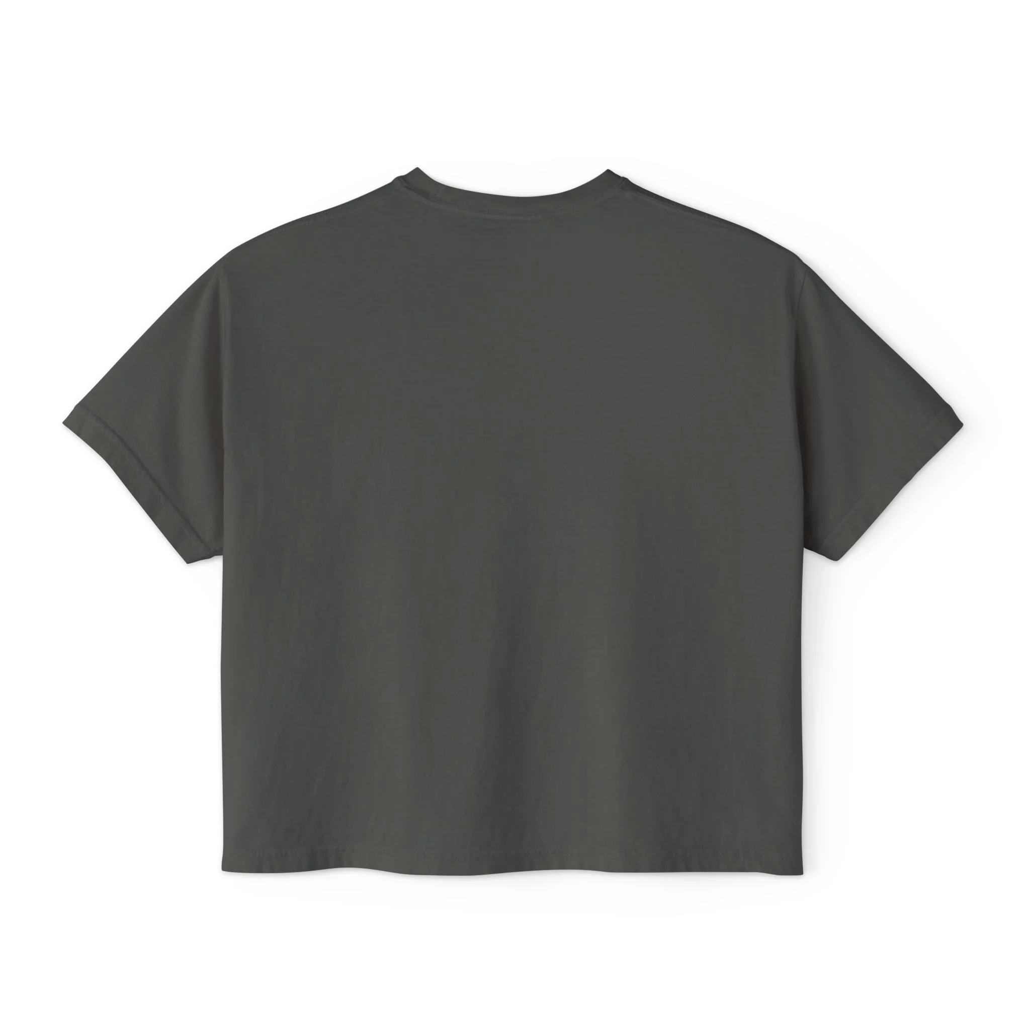 The Vampire Lestat Here Come the Gays Pride Boxy Tee Rainbow - Image 5